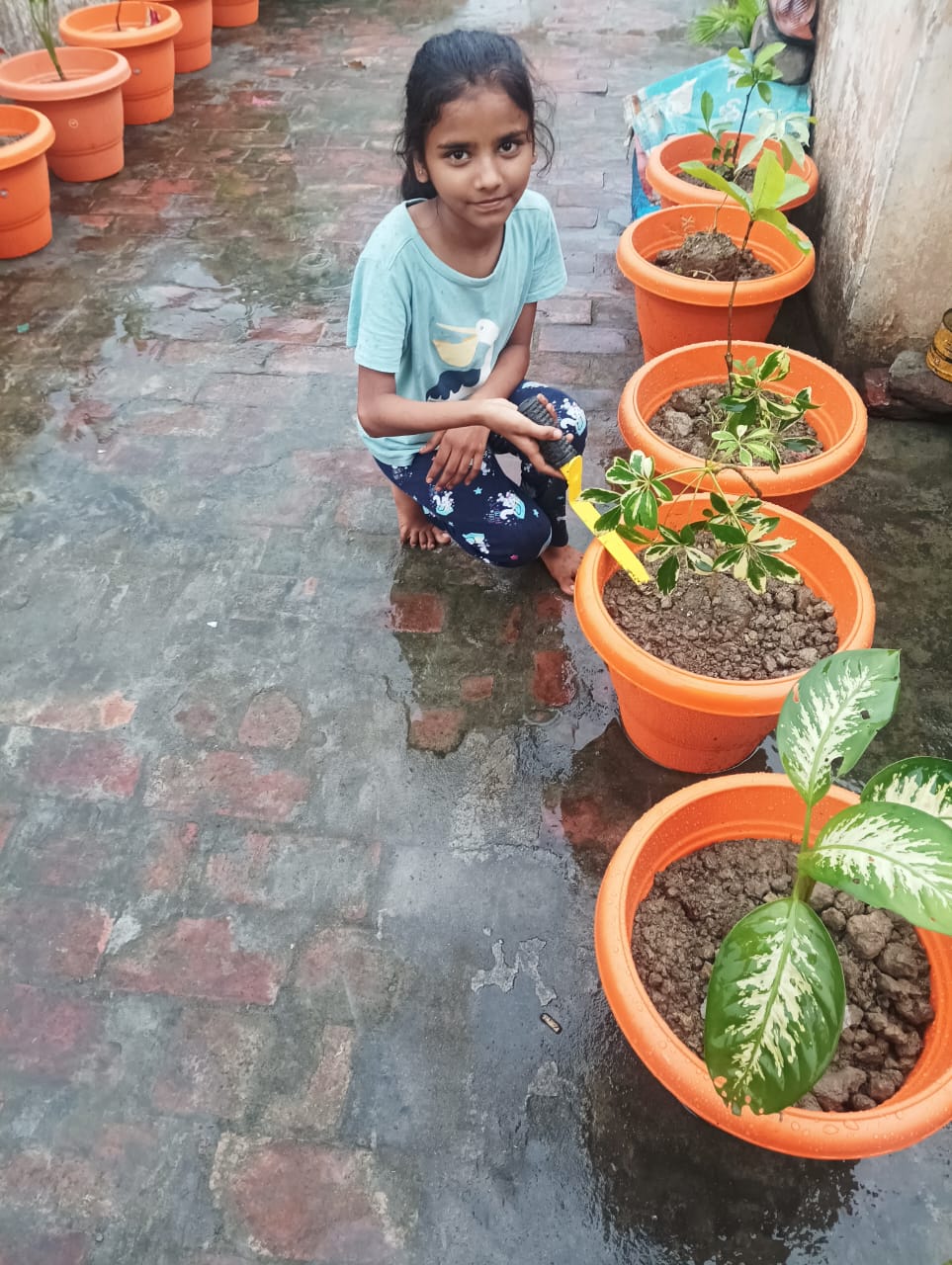Photo from Saroj (8)