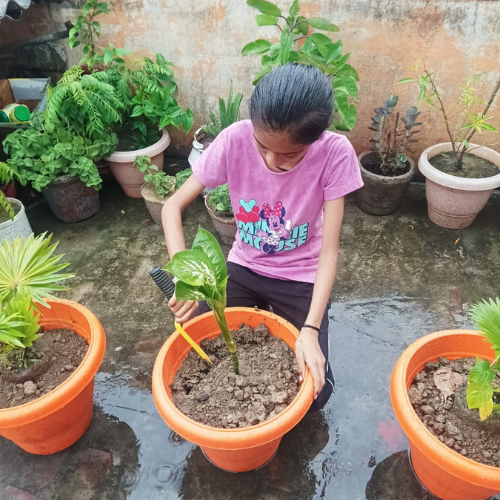 Plantation drive - only good
